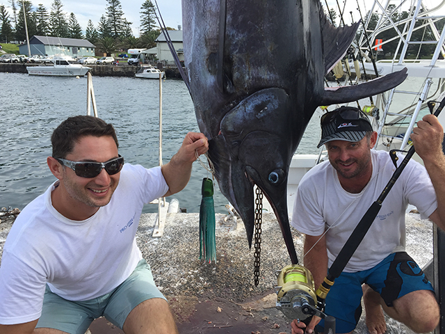 ANGLER: Scott Brown SPECIES: Blue Marlin WEIGHT: 184 kgs LURE: JB Lures, 13" Dingo